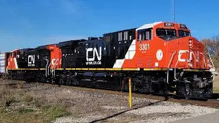 (New AC44C6M Dash 9's!!!!) CN 396 - 3301 & 3300 In Lynden Ontario