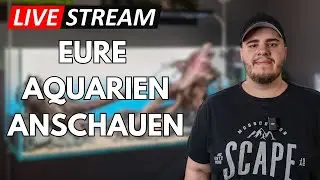 Ich reagiere auf eure Aquarien und Terrarien! Livestream
