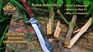 Ultimate Bushcraft Survival Gear: Finding Fatwood with the Automesser -PUMA Adventure!
