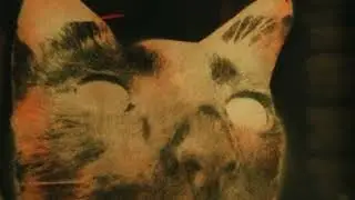 Kiltro - 