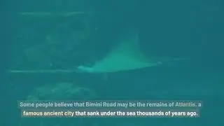 Bimini Road: Strange Ancient Seabed Range