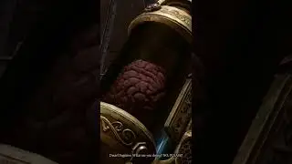 #baldursgate3 brain jar
