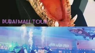Dubai Mall tour fish tank, ice ring, water falls and burji kalifa street walk