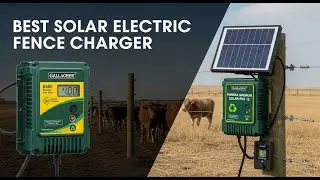 TOP 5 Best Solar Electric Fence Charger 2026