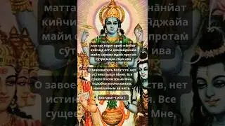 Вишну - причина всех полубогов