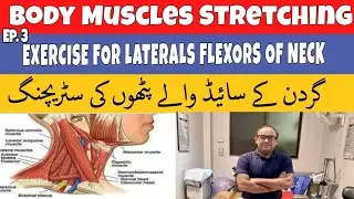 Exercise For Lateral Flexors Of Neck #neckpain