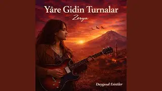 Yare Gidin Turnalar