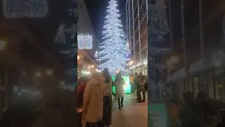Christmas Budapest #Indian #Europe #Odia vlogs