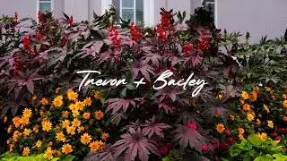 Trevor + Bailey // Wedding Video