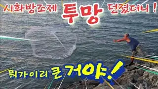 시화방조제 투망 던져서 최초로 잡은 대물! 세상에 이런일이~~~ #시화방조제 #바다투망 #바다생활