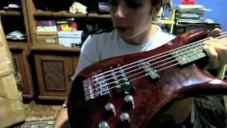 Review Baixo SX SWB1/5 TWR