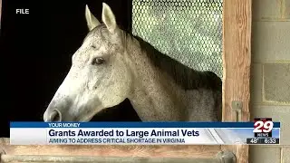 Virginia awards nearly $900,000 to boost rural veterinary care for large animals