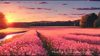 Windmills in the Dusk - Laidback Groove Crew