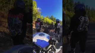 Biker eats dirt #riding #gopro #bikers #bikergirl  #yamaha #oopsies #2wheellife #bikelife #fail #oof