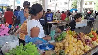 Feira Livre da Cidade de Mundo Novo-Ba..