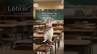 POV: Ihr macht die Klassenfotos😂 #katzenvideos #katzen #lustig #shorts #schule #unterricht #katze