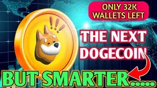 BONK COIN Secret Million Holder Plan: 1 Trillion Token Burn Coming | BONK CRYPTO NEWS