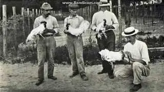 1910 facts