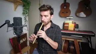 Fig for a kiss & The Butterfly - 2 Irish slip jigs on tin whistle