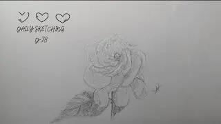 Drawing My Favorite Flower | Cape Jasmine Pencil Sketch