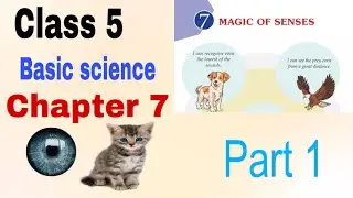 Class 5 Basic Science Chapter 7 | Magic of Senses | Complete Explanation | Kerala SCERT#class5