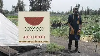 Cultivo de hortalizas en chinampa de Xochimilco, Ciudad de México