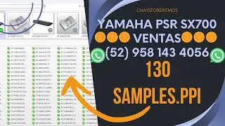 130 SAMPLES.PPI PARA YAMAHA PSR SX700 SX900