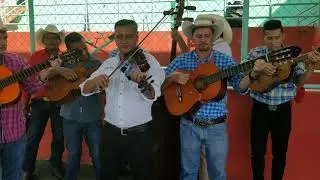 La Abeja Miope' Conjunto Familias Unidas, Honduras