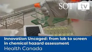 The Emerging Approaches Unit; Existing Substances Risk Assessment Bureau (ESRAB), Health Canada