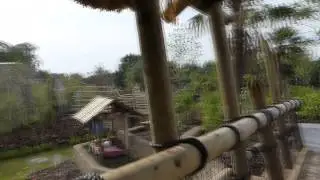 Chester Zoo - Islands - Bali