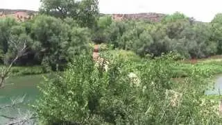 Dream of the Llano - Puerta de Luna, New Mexico