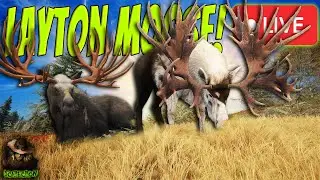 The Layton Lakes HERD MANAGEMENT Great One Moose Grind Begins! Call of the wild