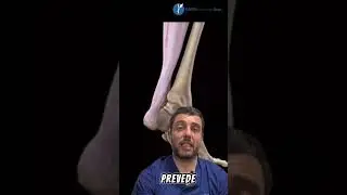 Rottura del tendine d'achille : l'infortunio di Domenico Berardi