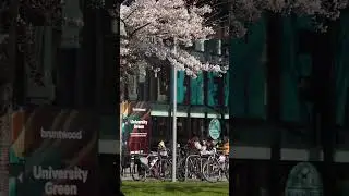 The University of Manchester campus in Spring