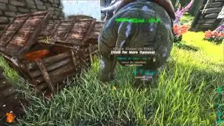 ARK SURVIVAL EVOLVED - Usando STIMBERRY (parte 1)