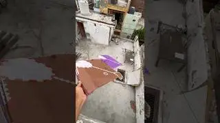 Kite looting #viral #kiteground #kiteflying #kitevideo #love #ytshorts #kites