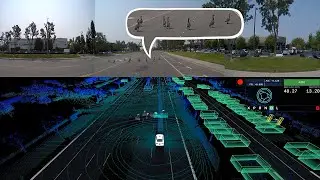 Detecting and Avoiding Small Animals Crossing the Road