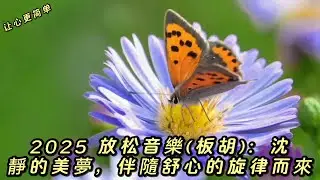 2025 放松音樂(板胡)：沈靜的美夢，伴隨舒心的旋律而來