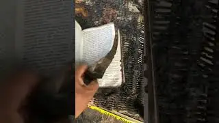 The house is burning but the Bible is not burning#shorts