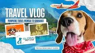 Flying to Assam with Pumpkin | Akasa Air Pet Travel Experience | Global Pet Cab Review (Part 1)✈️🐶