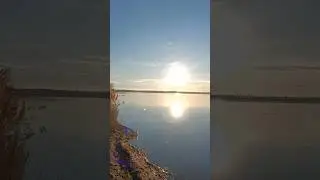 Strand See Spaziergang im Leipziger Neuseenland - Cospudener See -