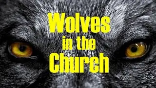 Wolves in the Church!