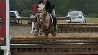 &ldquo;Golden Giggles&rdquo; 2&rsquo; USHJA Hunters @ The Ridge 8/17/25