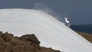 CRASH REEL from WE: A Collection of Individuals