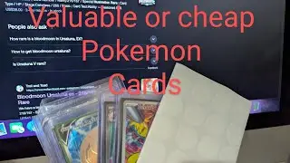 Checking my valuable toploader Pokemon cards In TCG Player Troll and Toad