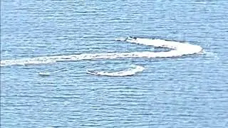 #Finding Small Fast Attack Craft at Sea 360p