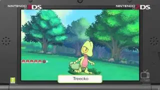 Nintendo 3DS - Pok&eacute;mon Omega Ruby & Alpha Sapphire (NL) (2014) (2) HD