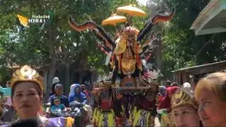 singa depok KRIS NADA ''  KEDALON ''2017/2018