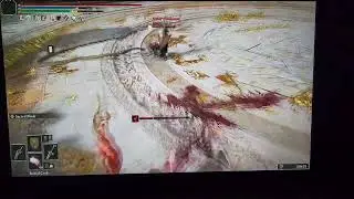 Joan of Arc build Elden Ring