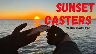 Croaker fest at Venice beach pier with Jesus (15 croakers) 